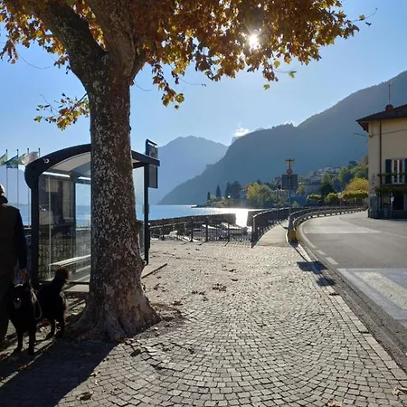 Appartamento Casa Max Onno Esterno foto